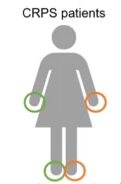 RSDSA Research Update