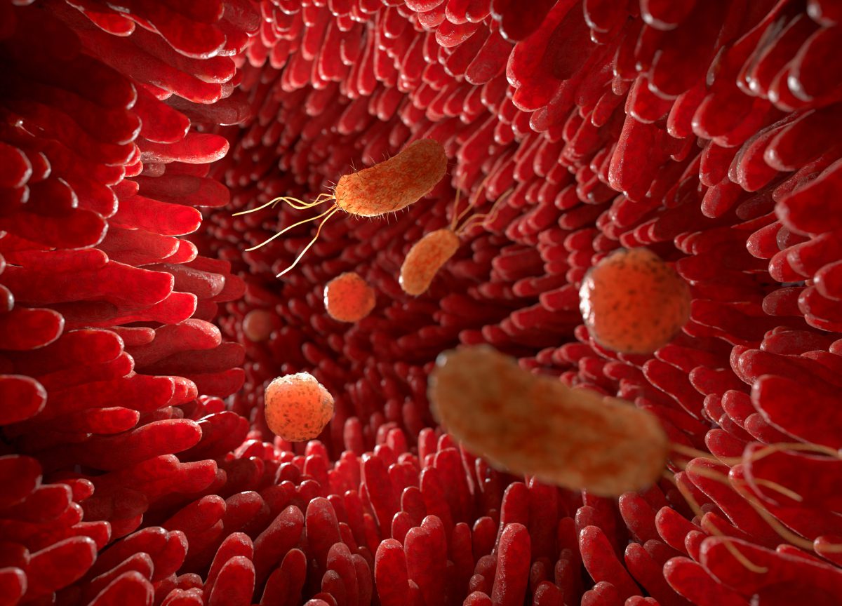 New CRPS Discovery from McGill University
